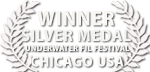 liquid motion film awards best film Chicago